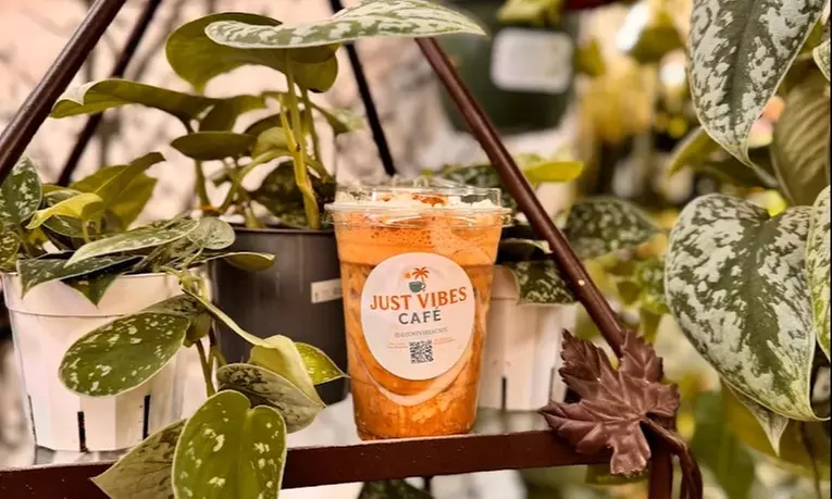 Sip and Savor Organic Brews and Handmade Hielitos at Just Vibes Café