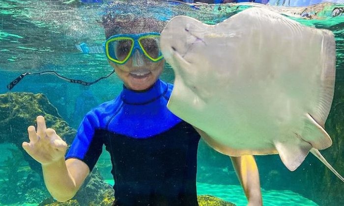Dive into Adventure at Woodbridge Aquarium & Wildlife Center