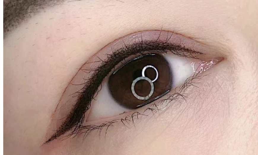 Image 2: One 3D, 6D & Royal Nano Hairstroke Brows for Natural Definition 