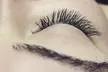 Up to 61% Off on Eyelash Extensions at Sensual Lash - Image 2