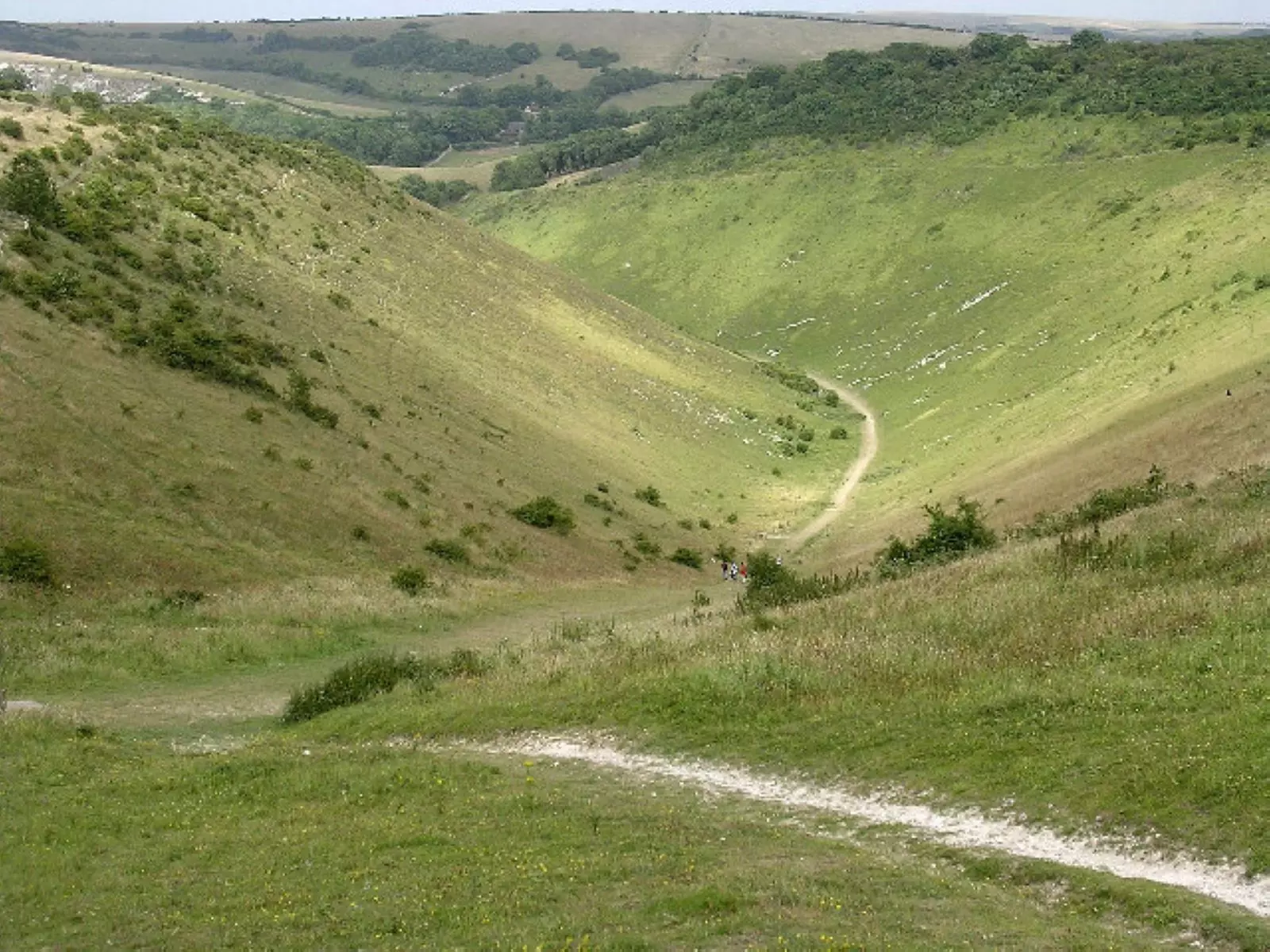 Up to 25% Off on Tasting - Other at cannonballtoursbrighton