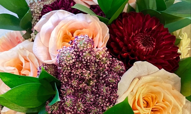 What to expect media