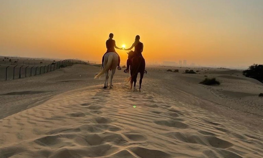 Image 2: Pony Ride, Desert Hack, Desert Tail Ride at JSR Stables