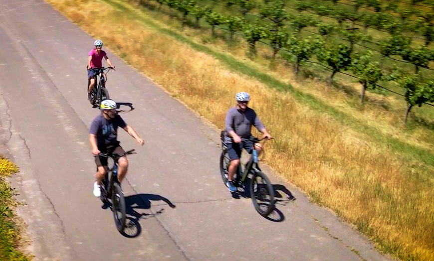 Image 4: Enjoy Full-Day eBike Rental for One or Two Persons