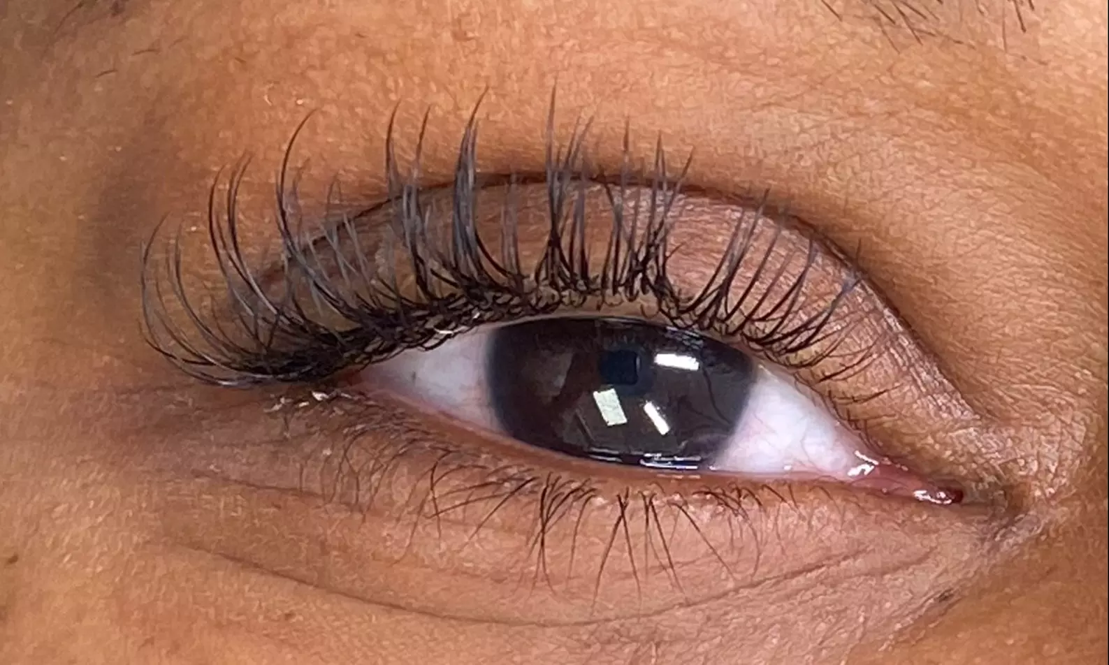 Up to 35% Off on Eyelash extensions at Solid 10 Esthetics - Second Medium