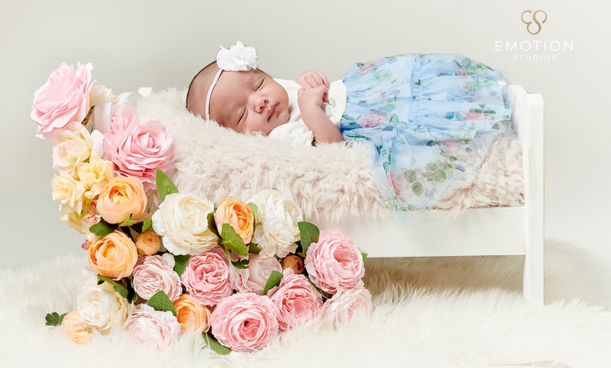 Image 2: Newborn or Bump-to-Baby Photoshoot with Five Prints