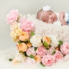 Image 2: Newborn or Bump-to-Baby Photoshoot with Five Prints