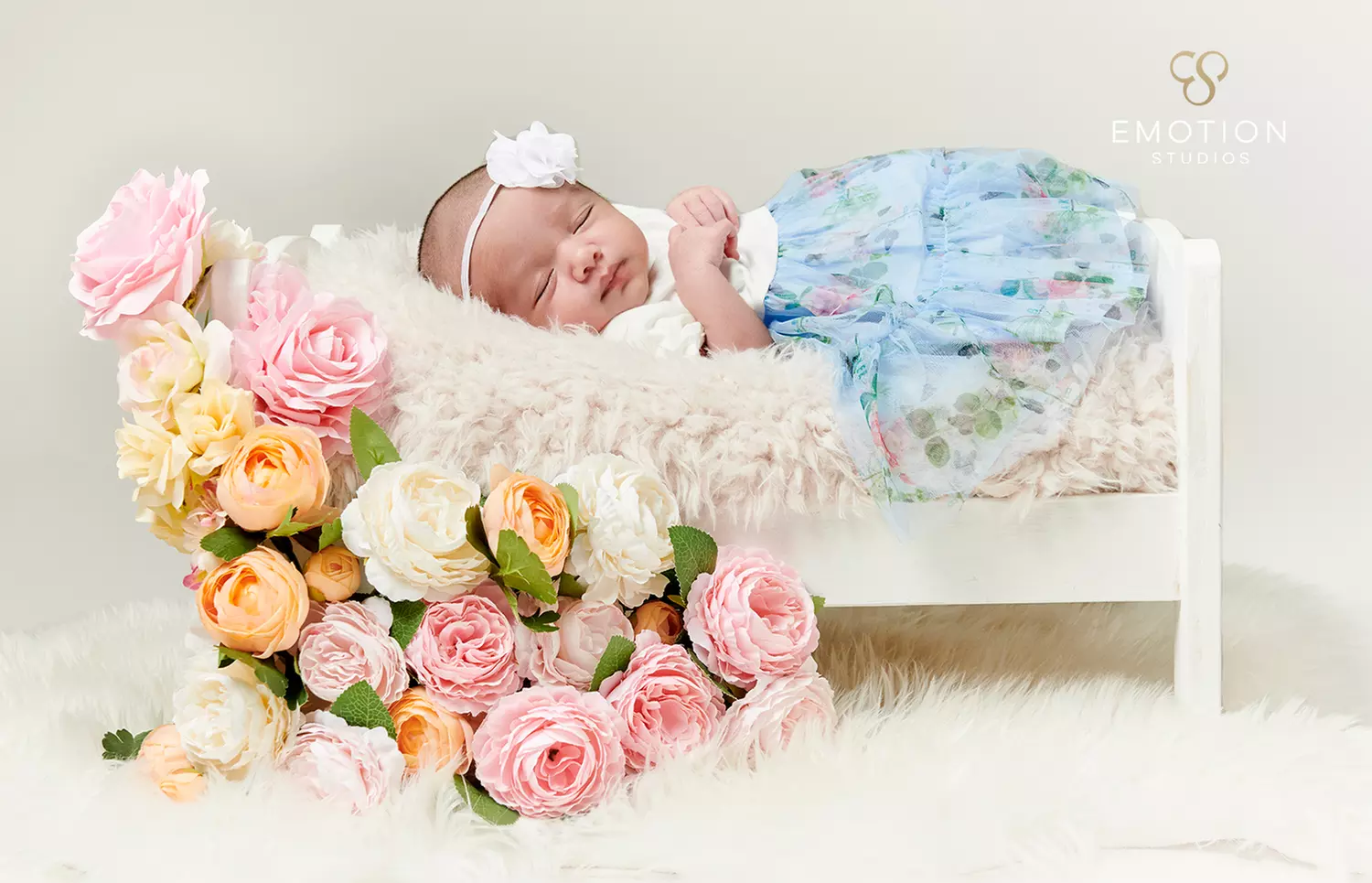 Newborn or Bump-to-Baby Photoshoot with Five Prints