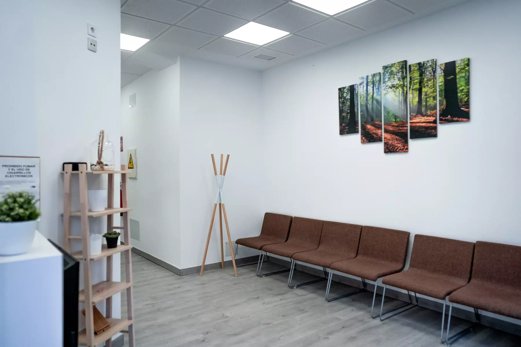 Higiene dental con curetaje de arcadas en Martín Parra Dental Clinic