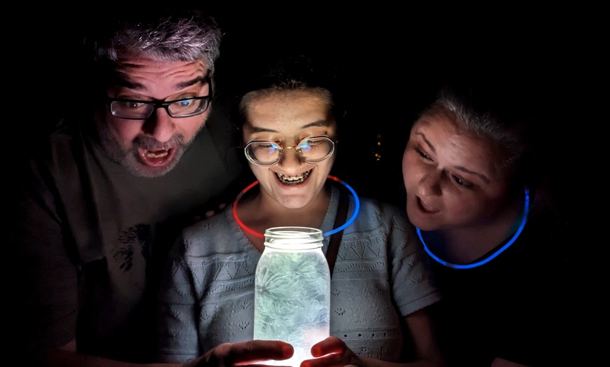 Image 5: Bioluminescent Night Kayak Tour with A Paddle in Paradise