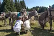 Jusqu'à 50% de remise sur Équitation - Loisir chez Le Col De La Molède À Cheval - Second Medium