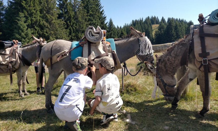 Image 2: Jusqu'à 40% de remise sur Équitation - Loisir chez Le Col De La Molède À Cheval