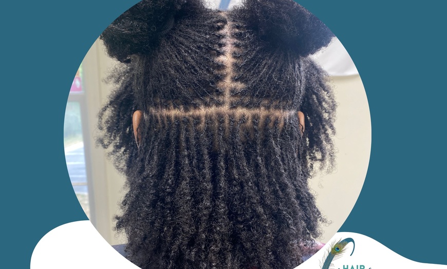 Image 1: Microloc Maintenance or Sisterlocks Care with Shampoo & Retie Only