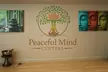 Long-Term Wellness: 6-Month Healing Membership for up to 50% Off at Peaceful Mind Centers - Second Medium