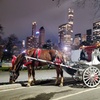 Image 1: Experience NYC's Iconic Spots on a Private Horse Carriage Ride 