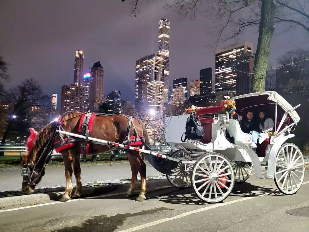 Experience NYC's Iconic Spots on a Private Horse Carriage Ride 