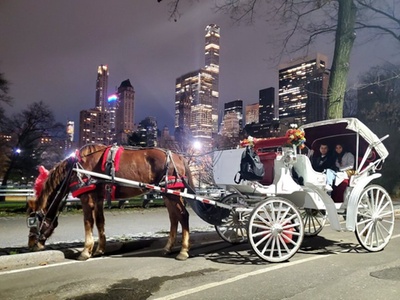 NYC Central Park and Rockefeller Center Private Horse Carriage Tour - NYC Fancy Rides