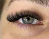 Fill or Full Set Eyelash Extensions- Classic, Hybrid, Volume, or Mega Volume at Lashed by Lil (Up to 33% Off)