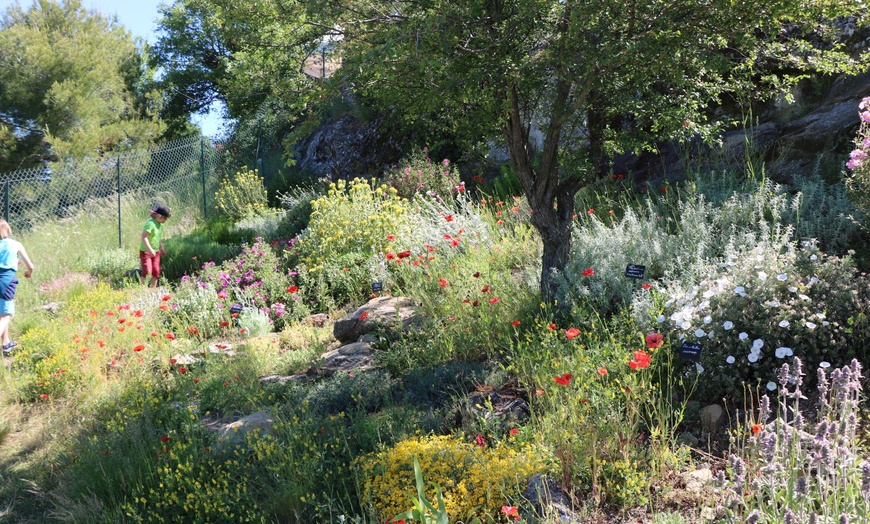 Image 8: Saveurs et nature : menu gourmand et visite des jardins de l'Abbaye