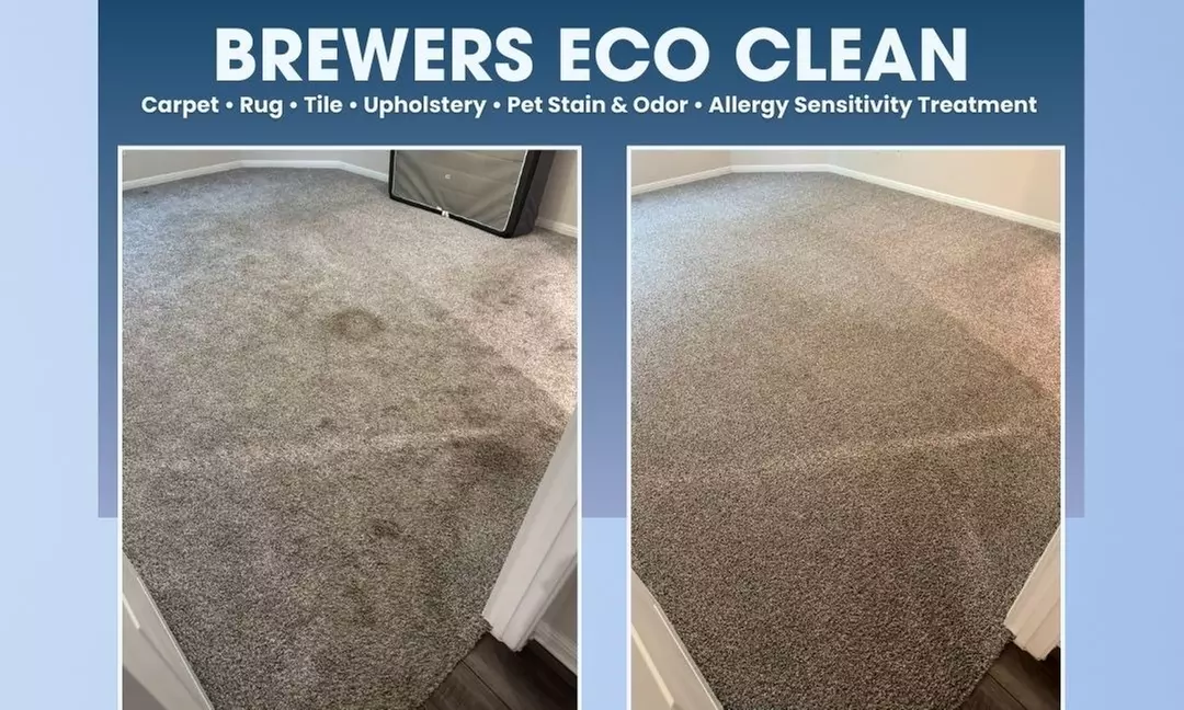 Eco-Friendly Carpet and Rug Cleaning for Home or Office