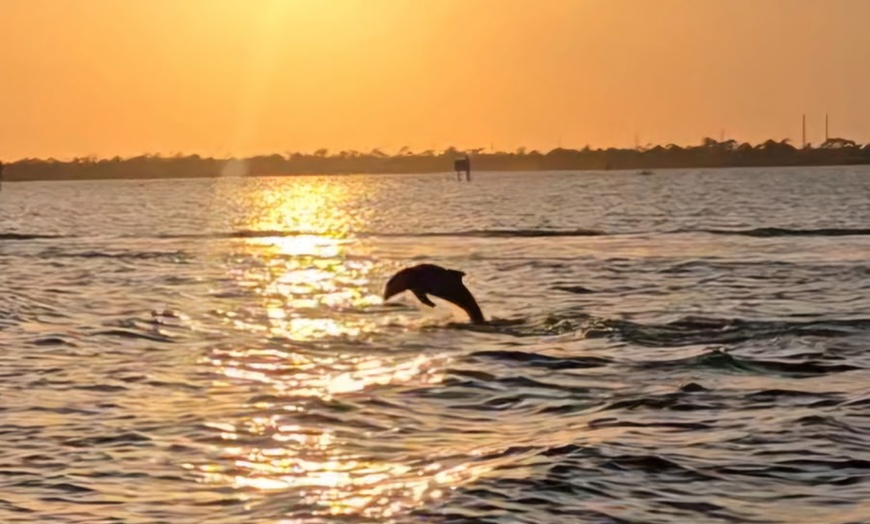 Image 6: Relaxing Dolphin Sightseeing & Sunset Cruises on the Space Coast