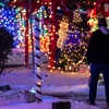 Image 3: X-Mas Lights Festival at HollyDazzle in Holly for Adults or Child