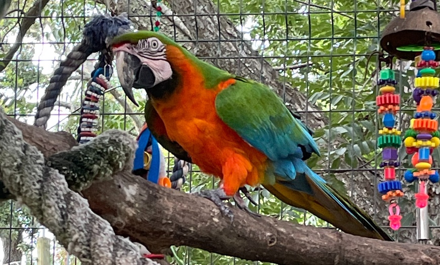 Image 7: Primate Sanctuary Admission Deal & Up to 40% Off Discount