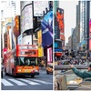 Image 5: 3 Tours-1 Pass: Guided NYC Bus, Liberty Statue Cruise & Walking Tour