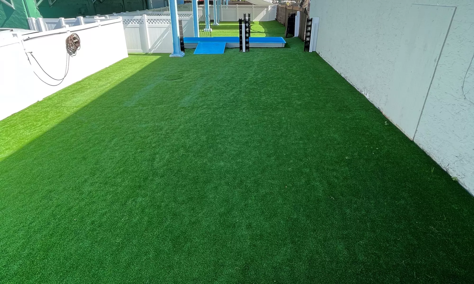 Up to 30% Off on Doggie Daycare Services at freeDOGm - Second Medium