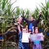 Image 2: Maize Quest: Giant Corn Maze & Fun Park Adventure