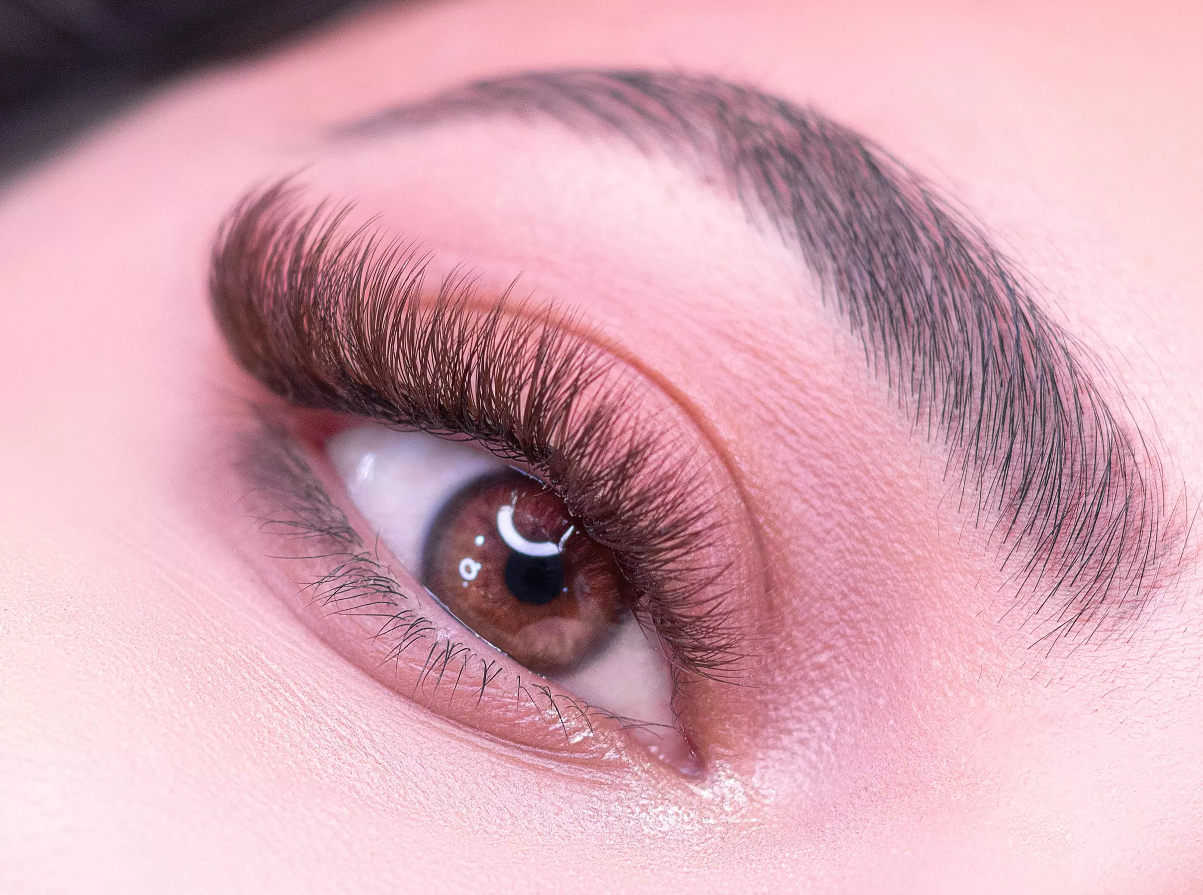 Up to 40% Off on Eyelash Extensions at Modern Muse