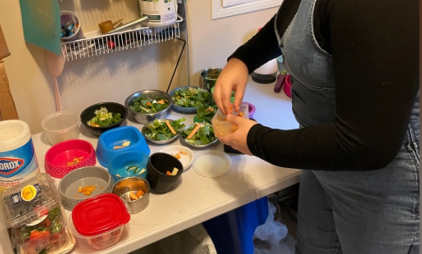 Image 10: Zookeeper for a Day Experience – Sunset Wildlife Connection Florida