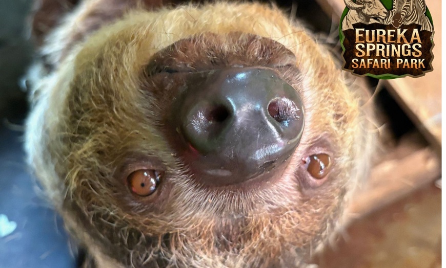 Image 9: Guided Safari Tours w/ Wildlife Adventures in Eagle Rock, MO