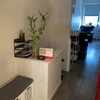 Image 3: Single or Couples 60min or 75min Massages