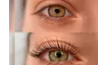 Elevate Your Look With An Eyelash Lift Treatment w/ or w/o Eyelash Tinting (Up to 30% Off) - Second Medium