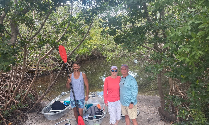 Image 8: 2-Hour Kayak Eco Tour in Emerson Point Preserve - Palmetto, FL