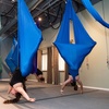 Image 1: Discover Aerial Fitness with Pole, Aerial Hammock & Hoop Classes 