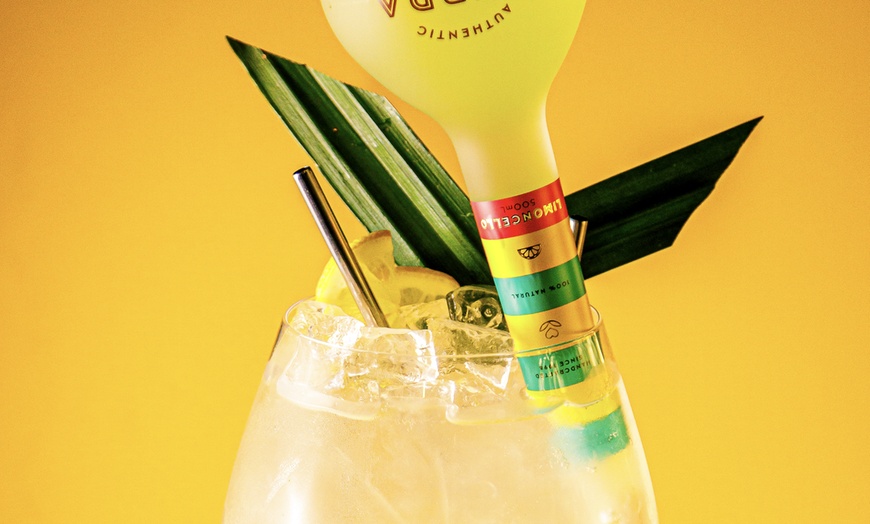 Image 4: Enjoy Ambra’s Signature Gin and Liqueur Flights w/ G&T Tree Experience