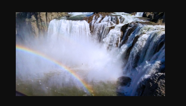 What to expect media