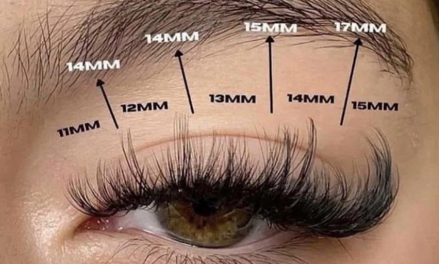 Image 2: Achieve Glamorous Eyes: Classic, Hybrid, or Volume Eyelash Extensions