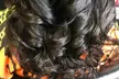 Beautiful Hair at Sophia Shantel Salon and Spa - Silk Press Options: One to Three Sessions (Up to 30% Off) - Second Medium