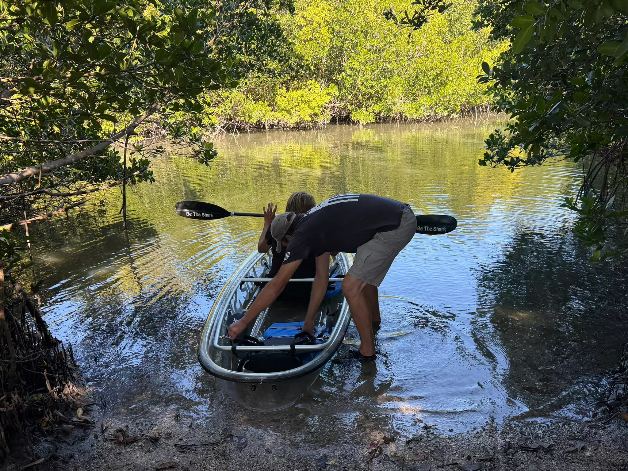 Explore Clam Bayou: 120-Minute Clear Kayak Mangrove Eco Tour