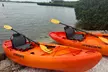 Discover Siesta Key's Mangroves on a Kayak or Paddleboard with Murphs Surf, offering Rentals (Up to 20% Off) - Second Medium