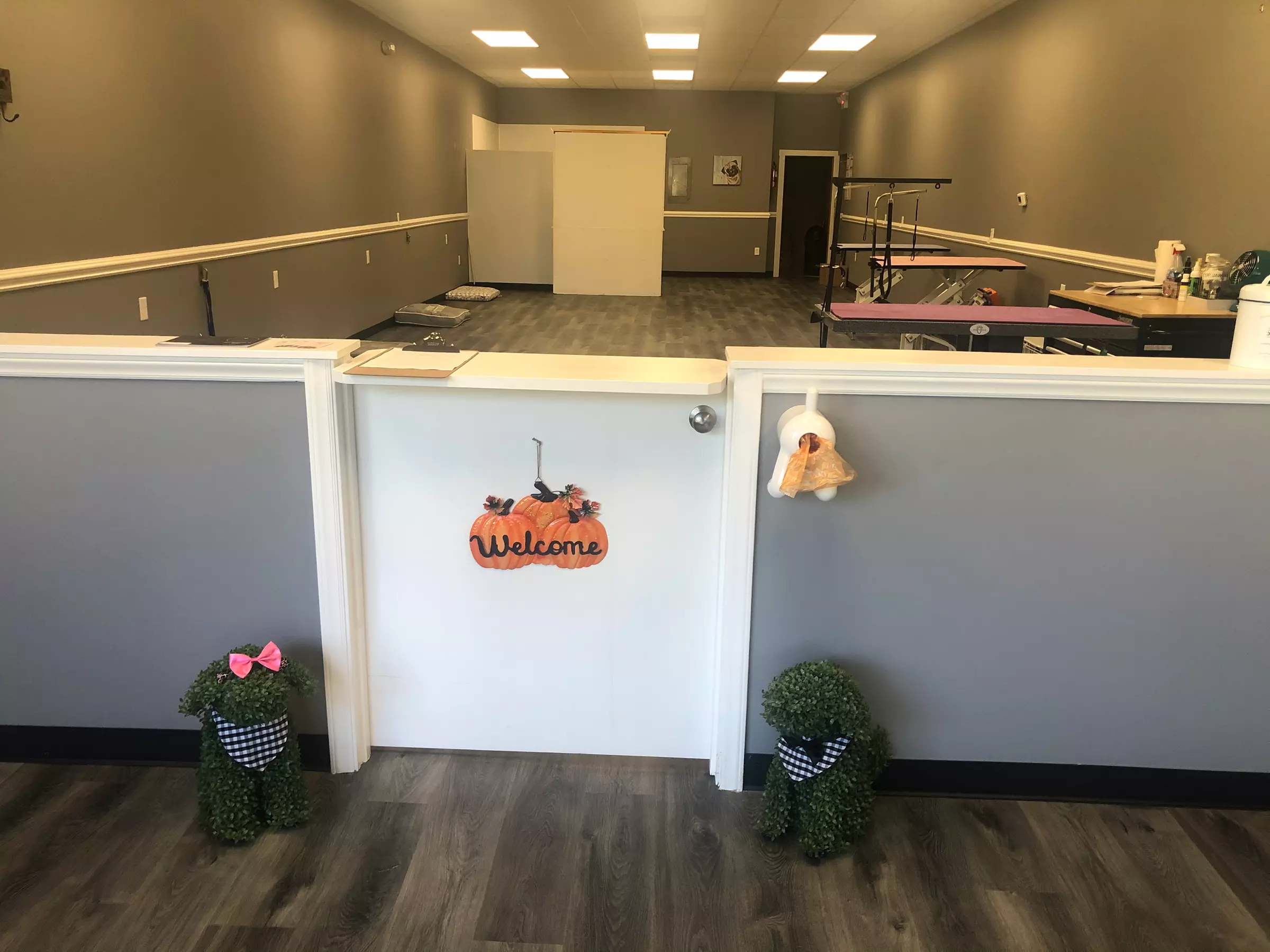 Up to 29% Off on Pet - Grooming / Salon at Biscuits Bath & Beyond Dog Grooming - Primary Image