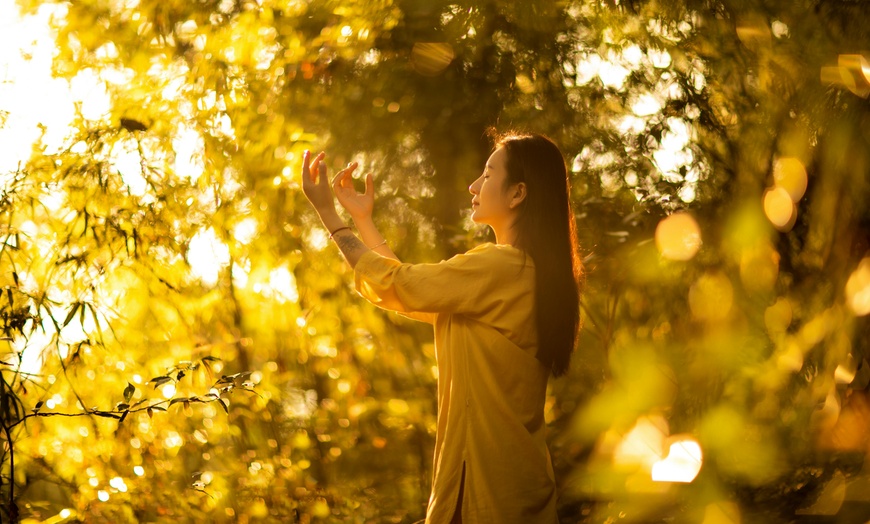 Image 2: Sophrologie en visio ou rééquilibrage avec Elodie Victoire-Mendoza