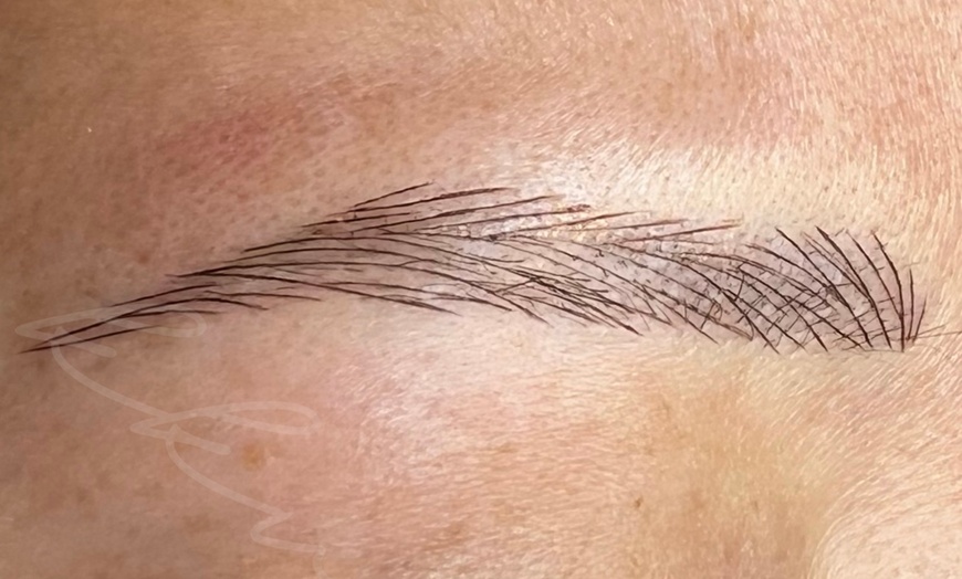 Image 4: Microblading Session