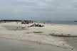 4-Hour Boat Tours, Up to 6 People Visit Sandbars, Islands & Eco Tours at Salty breeze boat tours (Up to 37% Off) - Second Medium