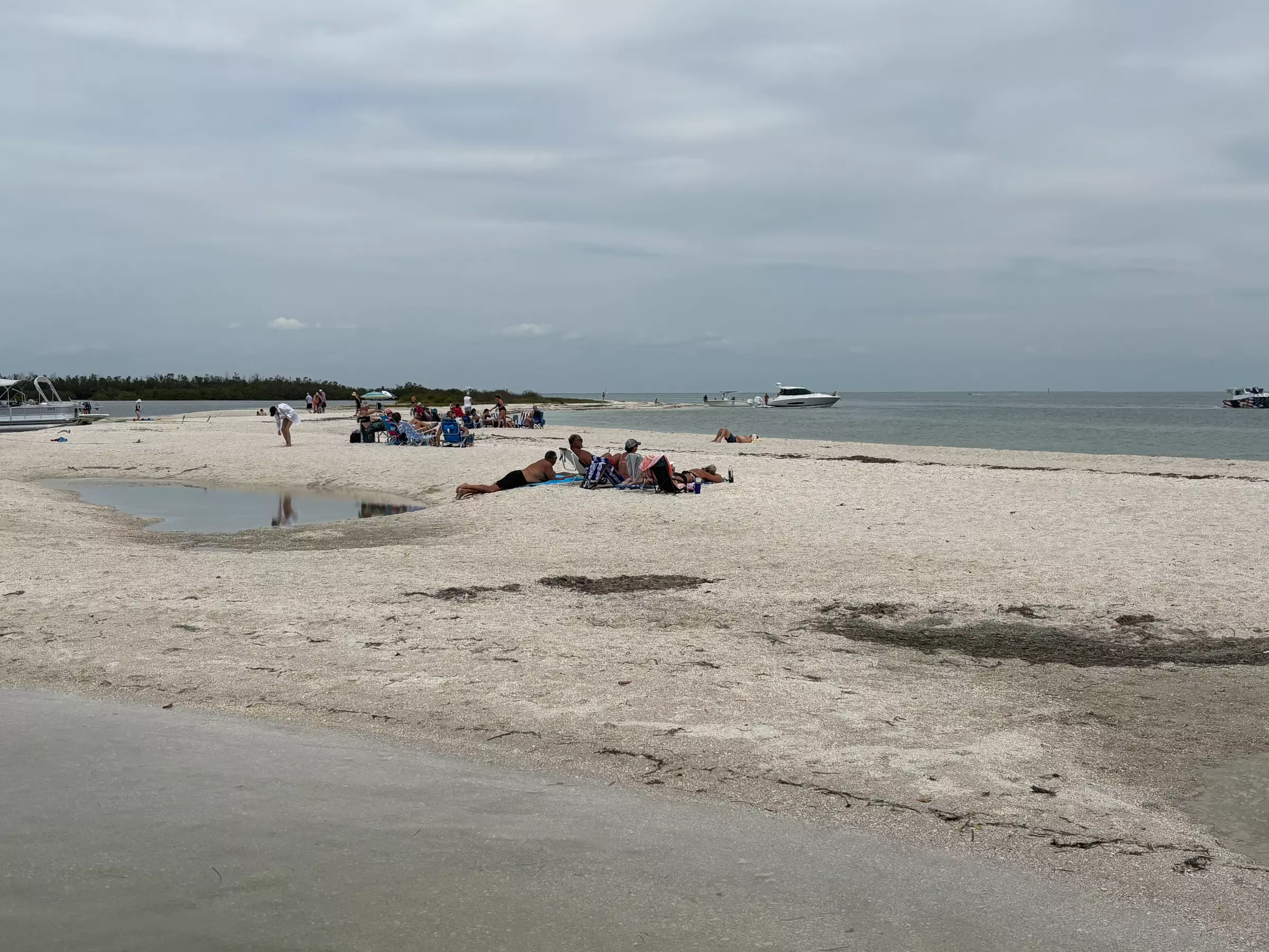 4-Hour Boat Tours, Up to 6 People Visit Sandbars, Islands & Eco Tours