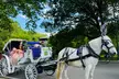 Experience Central Park's Beauty with a Choice of Horse-drawn Carriage Tour from New York City Rides (Up to 10% Off) - Second Medium