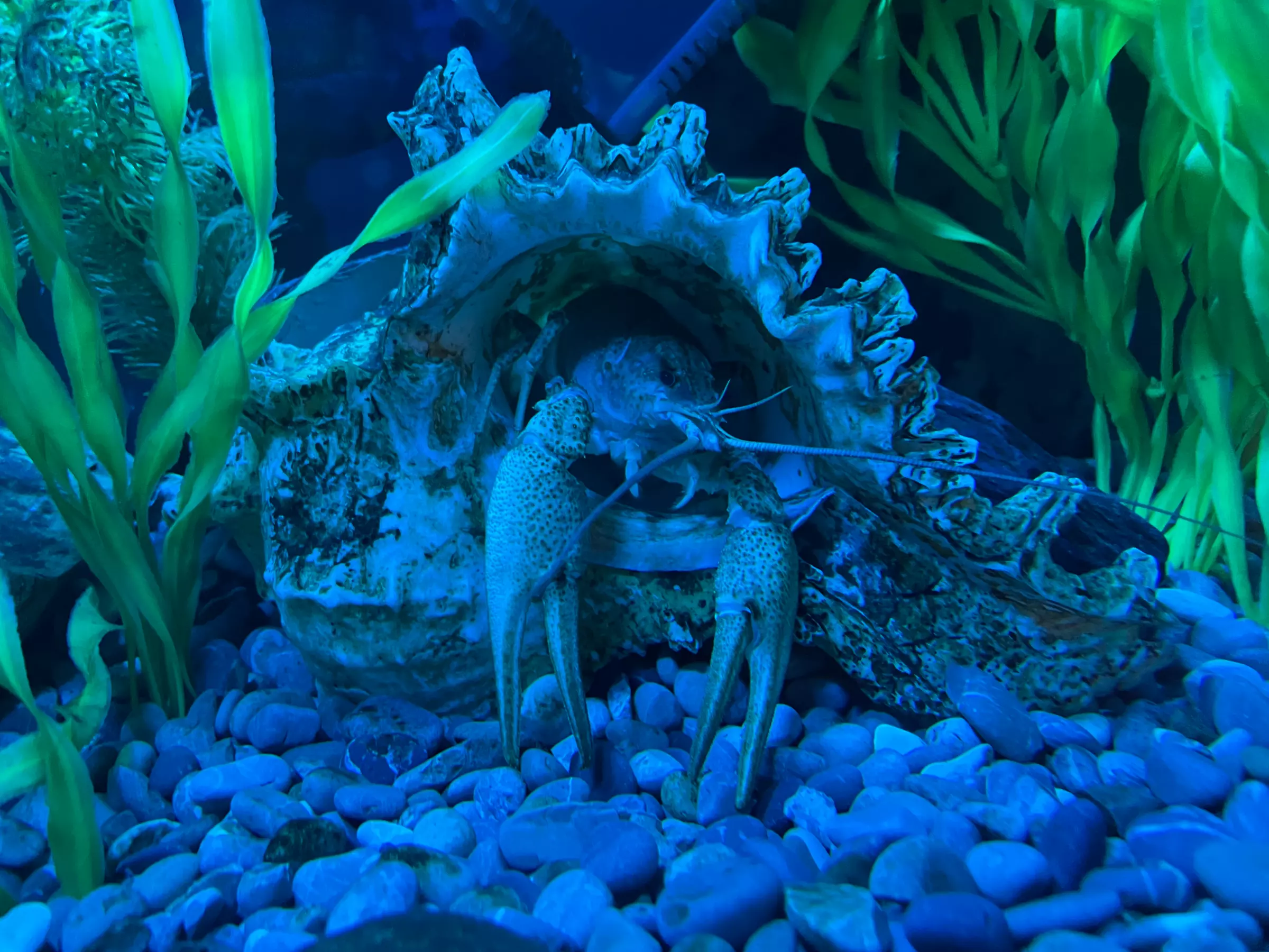 Entrée pour la Maison de la Pêche et de la Nature de Levallois